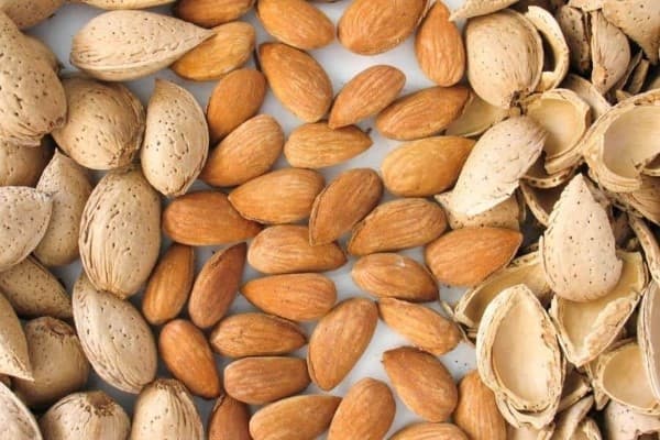 تصویر 1 از خرید مغز بادام سنگی + بهترین قیمت